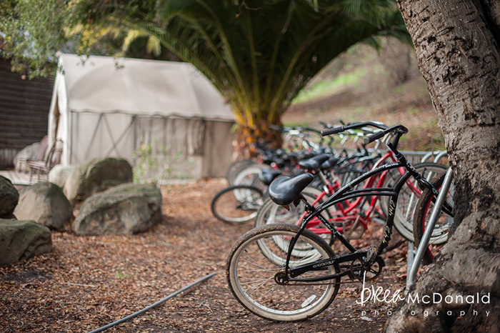 Wedding Film Continuing Education