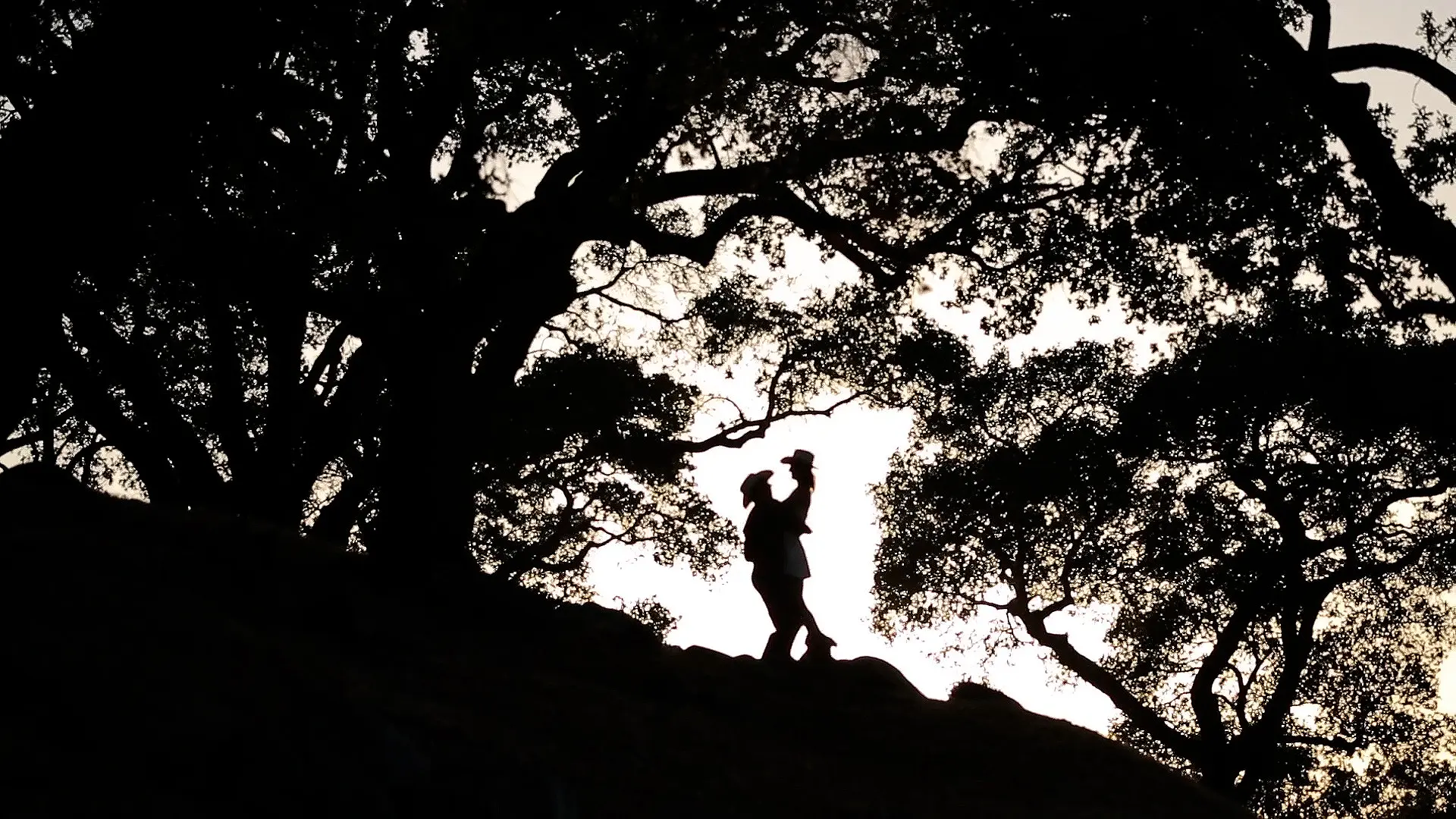 Santa Ynez Destination Wedding Film