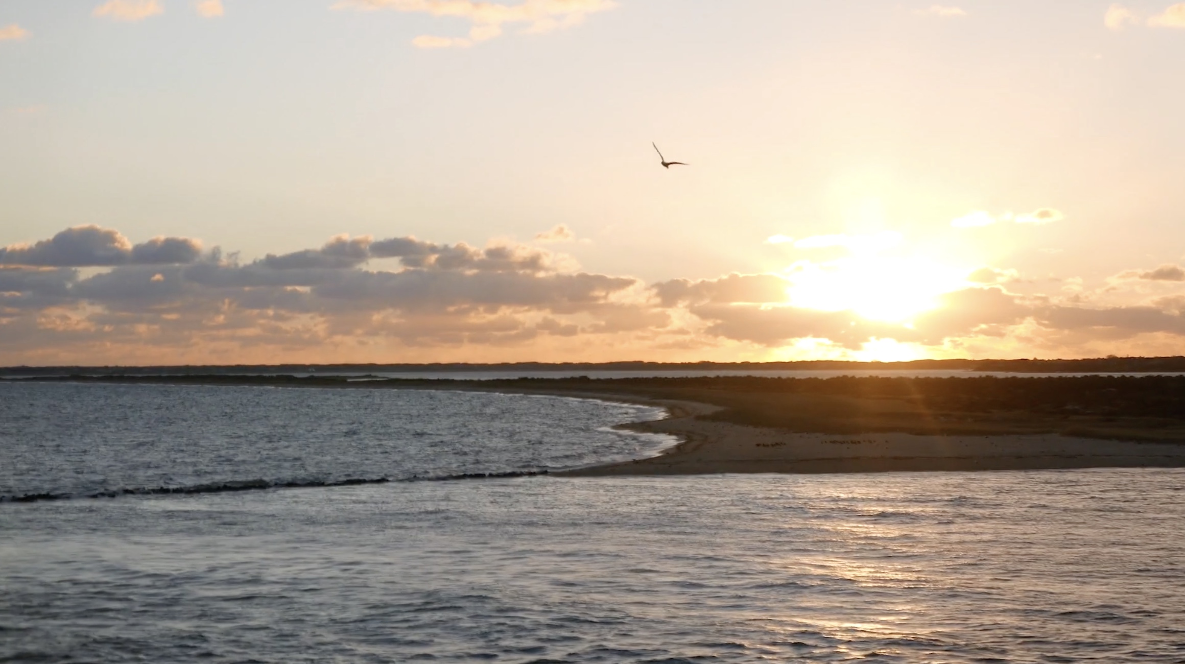 Inclusive and Loving Nantucket Wedding Film